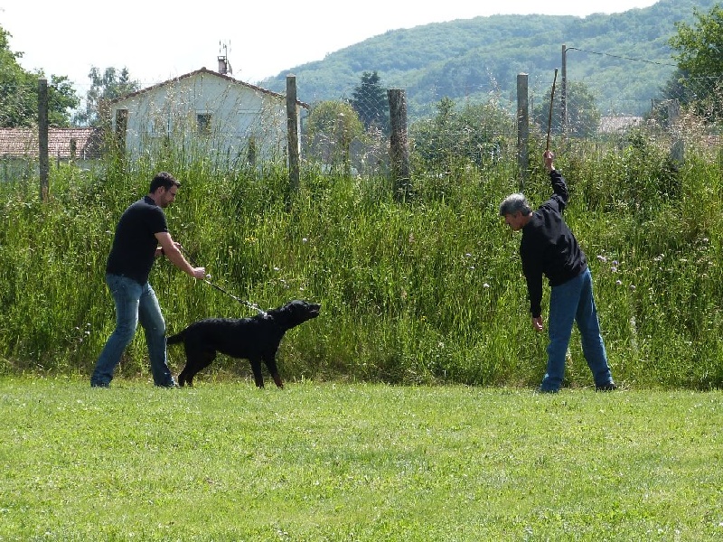 Journée beauceronne Longechenal 2014